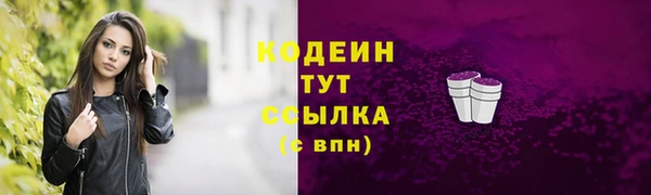 дживик Белокуриха