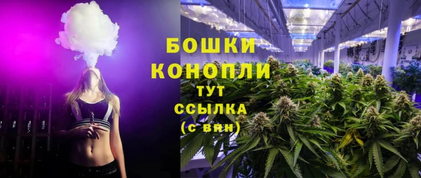 дживик Белокуриха