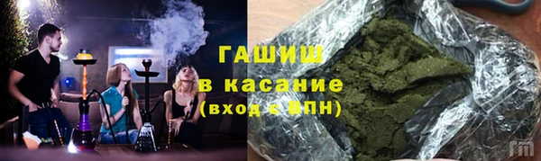 шишки Новодвинск
